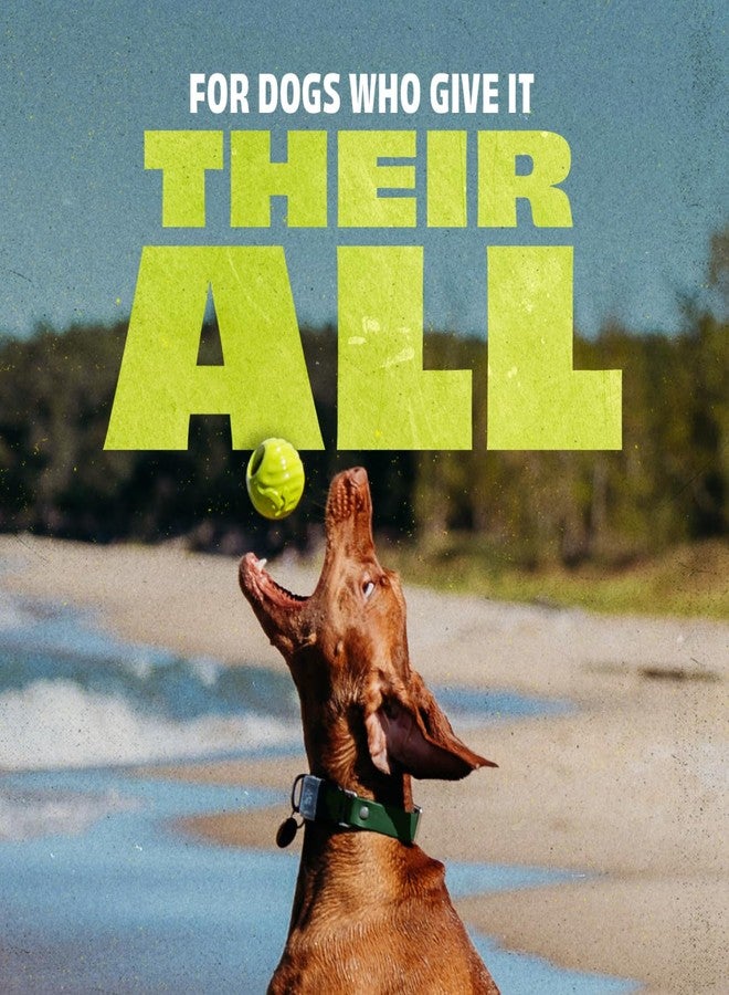 Benebone Dog Ball, Natural Rubber - Image 2